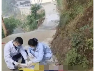 比特犬（英国10岁男孩被恶犬咬死，引发了对比特犬的关注和争议）