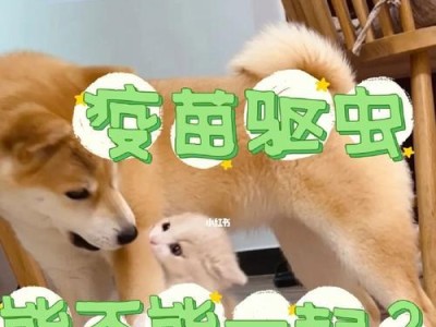 狂犬疫苗注射后多久可以给狗狗洗澡？（洗澡时间与宠物健康的平衡探讨）