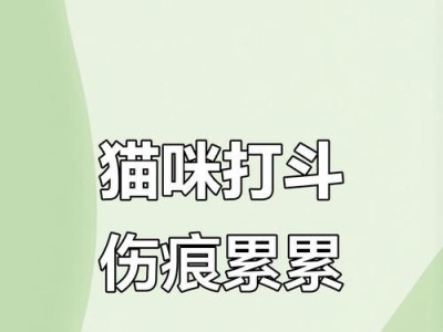 猫咪打架流血应如何处理？（教你正确处理猫打架伤口的方法及药物擦伤建议）