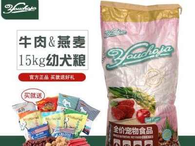 三个月金毛犬的适宜食物和禁忌食物（为宠物金毛提供均衡饮食的关键）