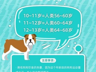 狗狗年龄增长了，不能随便给它吃药！（狗狗年龄、药物安全、注意事项）