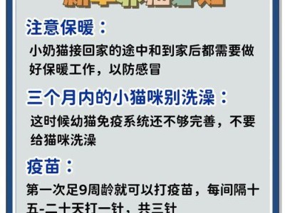 幼猫空运（幼猫适合空运的时间、空运过程中需要注意的事项和准备工作）