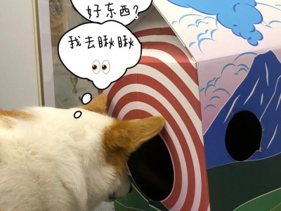 成为合格的铲屎官（探索狗狗世界，让你更了解你的宠物）