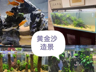 普通鱼缸底沙的选择与使用（探究适合鱼缸底沙的材料及使用方法）