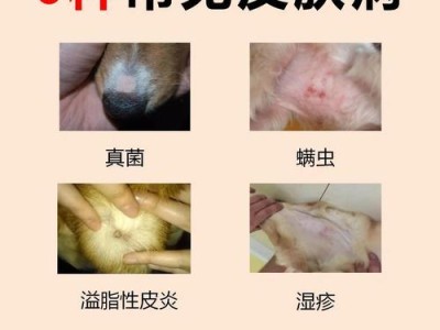 狗狗皮肤病药膏的选择与应用（治愈狗狗皮肤病的利器及正确使用方法）