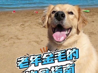 金毛幼犬的健康饮食指南（让你的金毛宝宝健康成长的喂养方法）