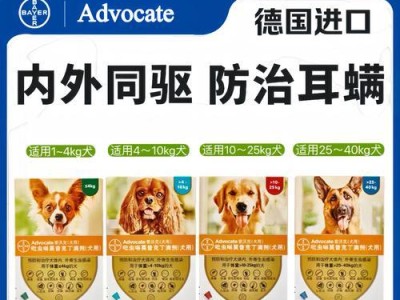 家庭治疗狗狗耳螨的有效措施（三大处理耳螨的措施参考）