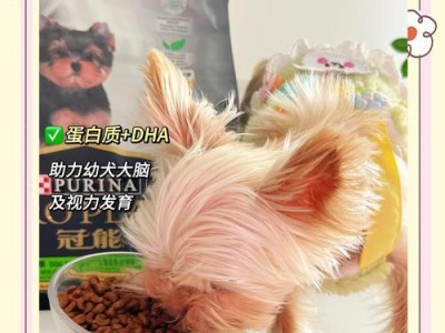如何养育一只3个月大的金毛犬（金毛宝宝成长手册，训练与照顾一网打尽）
