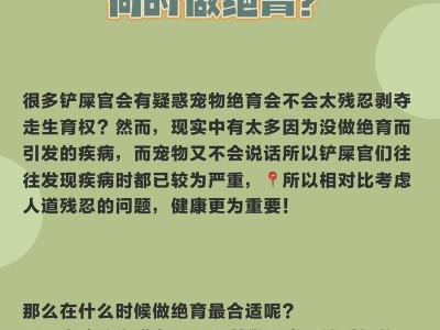 为什么要给宠物做绝育？（控制繁殖与保护宠物健康）