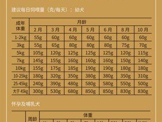 泰迪犬的合理饮食量——一天应该喂多少？（探讨泰迪犬每顿应该吃多少，为你的宠物健康护航！）