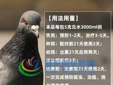 以信鸽球虫用药物治疗的探讨（选择合适药物与方法，解决信鸽球虫问题）
