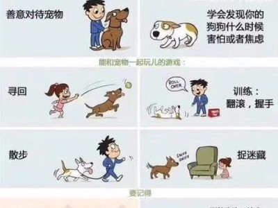 正确的狗狗补钙方法（如何给狗狗补钙，注意事项和食物选择）