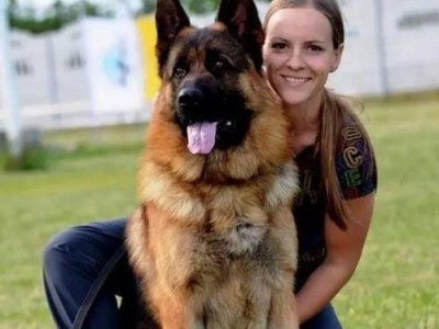 选择适合你的大型犬伴侣（如何选择适合你的生活方式的大型犬？）