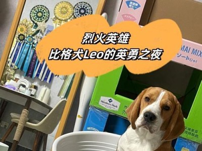 养比格犬的注意事项（新手必看的养犬指南）