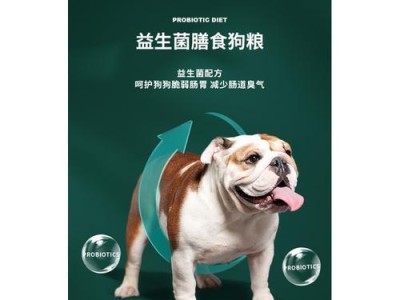 选择以法牛喂养的最佳狗粮品牌（为你的以法牛选择合适的营养均衡狗粮）