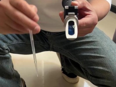 小丑鱼的养殖之路（探索小丑鱼繁殖的奥秘，从配对到孵化的完整指南）