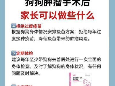 狗能吃哪些药？（了解你的宠物，保证安全。）