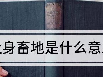 以蓄一犬的蓄意义（从宠物到家庭的伙伴-狗）