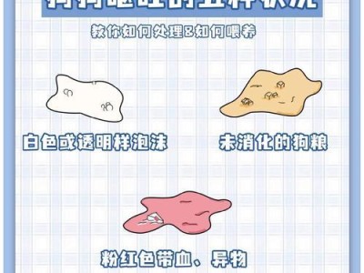 预防狗狗肠炎的方法及其他常见肠胃疾病（保护狗狗健康，远离肠胃问题）