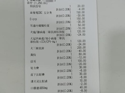 宠物狗狗的一生花费（宠物狗狗养育的各类花费及关键因素分析）
