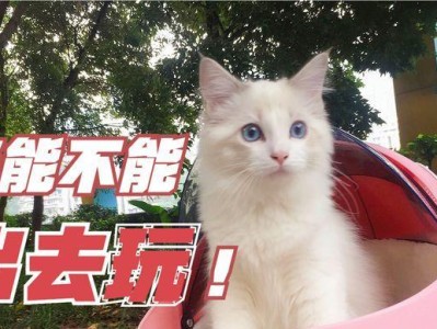 猫为什么喜欢晚上出去玩？（探索猫咪的夜间本能与行为习惯）