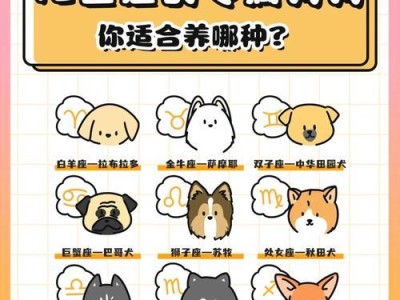 狗狗陪伴带来的注意事项（以狗狗陪伴完善犬种需谨慎）