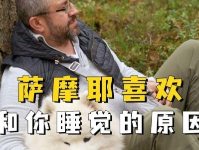 揭秘萨摩睡觉的奥秘（为什么萨摩经常沉迷睡眠？解读其睡眠习性）