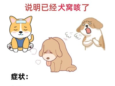 狗狗患上犬窝咳，如何有效治疗？（了解犬窝咳的症状和治疗方法，保护你的宠物健康）