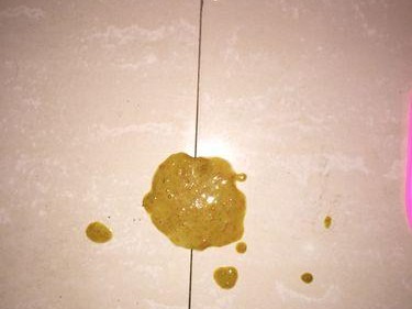泰迪吃坏后会多久吐？（探讨泰迪犬食物中毒引起呕吐的时间和原因）