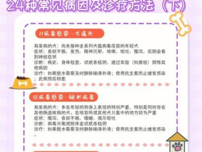 狗狗脱水的症状及预防措施（如何避免宠物狗狗脱水的情况发生）