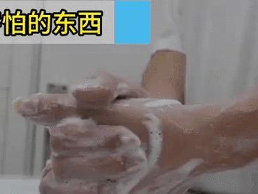 揭秘狗狗内心深处的恐惧世界（解析狗狗害怕的东西，为你的宠物提供更好的护理）