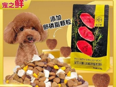 三个月大的泰迪可以吃哪些食物？（了解三个月大泰迪的饮食需求与食物选择）