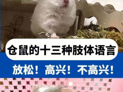 从仓鼠的外貌特征来看，能否判断它的年龄？（四个月的仓鼠是否已经成年？以及其他年龄阶段的鉴定方法。）