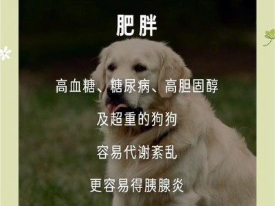 犬胰腺炎的发病原因解析（深入探究犬胰腺炎的致病因素及预防措施）