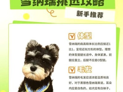 雪纳瑞生病多久能洗澡？（了解合适的时间和方法，让宠物恢复健康）