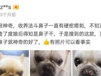 狗鼻凉干的治疗方法及药物推荐（了解狗鼻凉干的原因以及常见药物治疗）