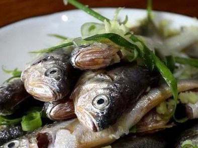 龙鱼鳃破皮后的恢复时间与注意事项（龙鱼鳃破皮恢复时间、龙鱼破皮后的保养技巧）