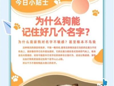 狗狗吃南瓜的好处多多（南瓜，富含营养的宠物食物）