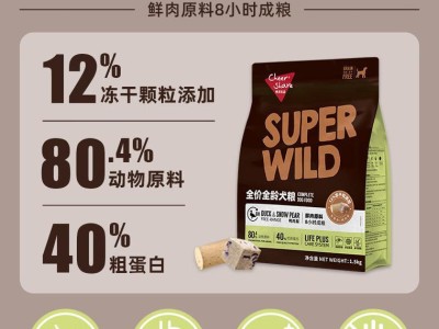 如何选择适合比熊狗的狗粮？（挑选好狗粮需满足的食用效果不错）