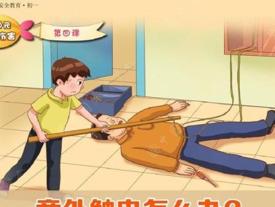 当宠物遇到电击（如何保护宠物不受伤害？如何紧急救治？如何避免再次发生？）