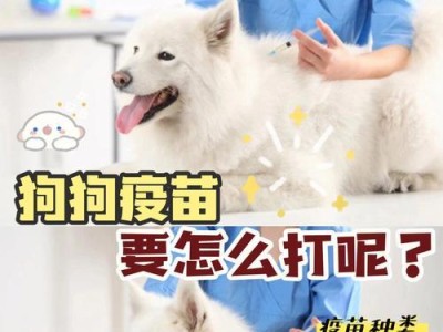 狗狗打疫苗后抗体检测常见传染病（了解狗狗健康状态，重要的抗体检测）