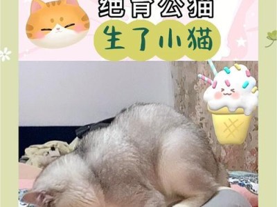 猫咪生产后的适时绝育（为猫咪的健康和福利考虑）