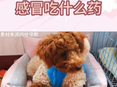 泰迪犬两个月为什么吃得不多？（探究泰迪犬生长期饮食习性及影响因素）