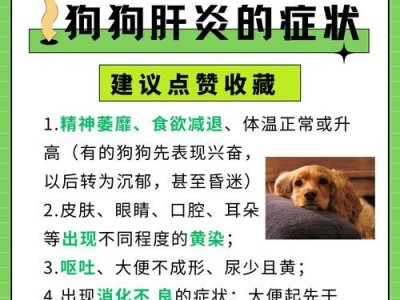 狗狗治疗肝炎的药物及其效果（有效的药物治疗肝炎，关注狗狗的肝脏健康）