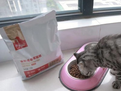 猫咪的最佳饮食选择（探讨猫咪适合吃的五种猫粮及其关键营养成分）