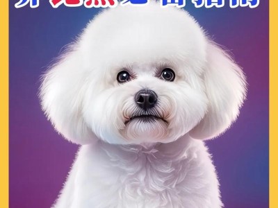 了解比熊犬（迷人的毛发，活泼可爱的性格，养护技巧是关键）