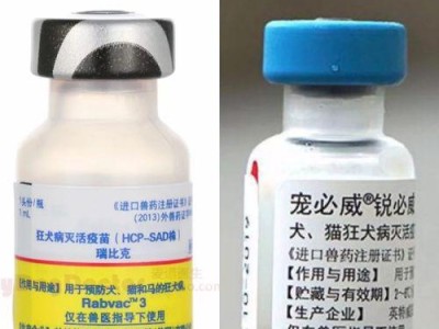 狗进口育苗的优质品牌推荐（寻找最适合您的狗狗的进口育苗品牌）