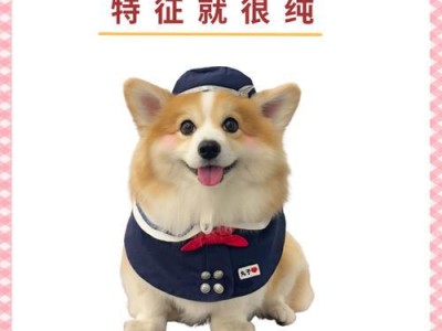 如何判断柯基犬是否纯种？（掌握关键方法，准确判断宠物犬品种）