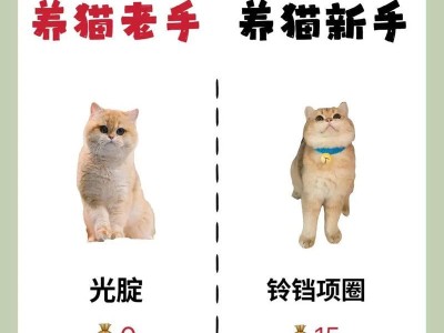 新手养猫需要多少钱？（养猫初学者必备的经济准备及建议）
