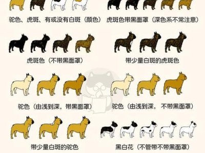 法国斗牛犬（一起了解这个独特的宠物犬种，探索适合它们的最佳养护方法）